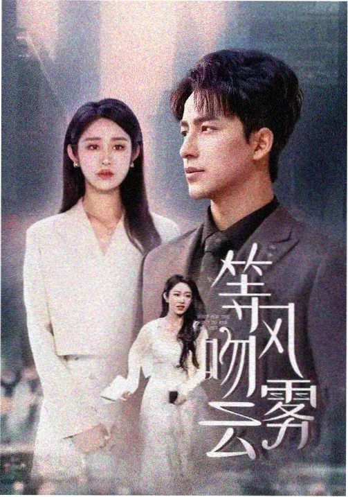 小说排行封面